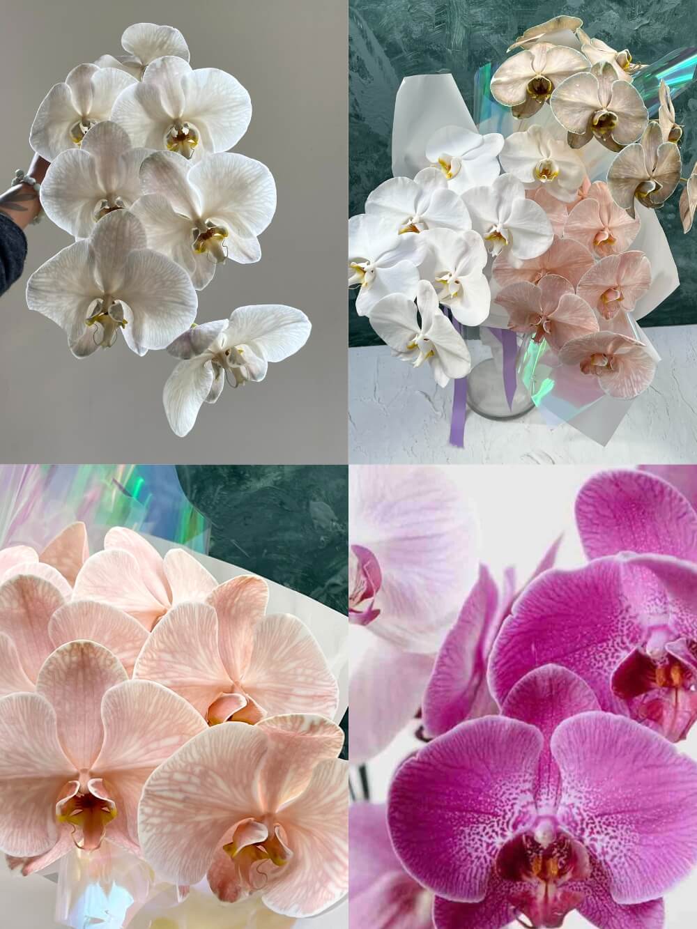 Phalaenopsis Orchid Bouquet